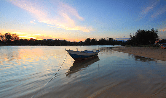 Boat