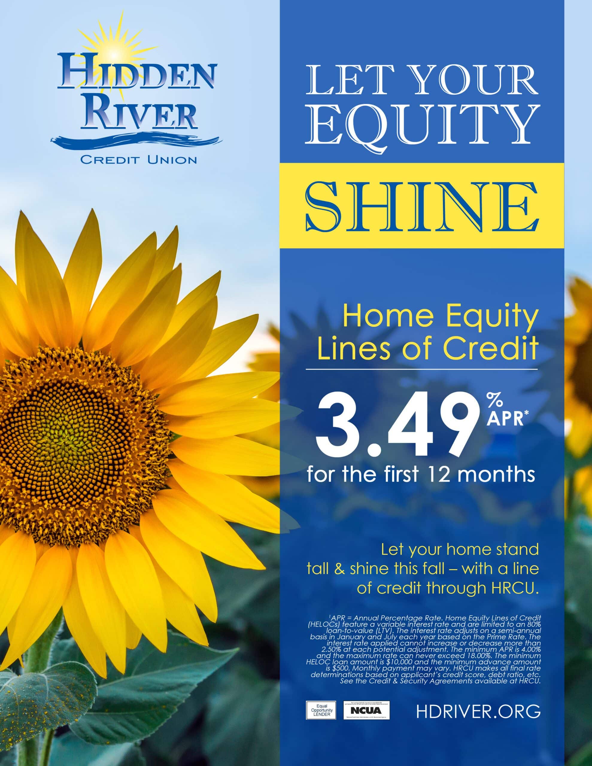 Flyer with various sunflowers and green leaves and a light blue sky. Blue transparent vertical bar along right side reads "Let Your Equity" in white and "Shine" in blue with a yellow background, and promotional rate text including "Home Equity Lines of Credit, 3.49% APR for the first 12 months." Yellow text underneath reads "Let your home stand tall & shine this fall - with a line of credit through HRCU." Also, includes blue HRCU logo, hdriver.org, disclosures, and both NCUA and EOL logos.