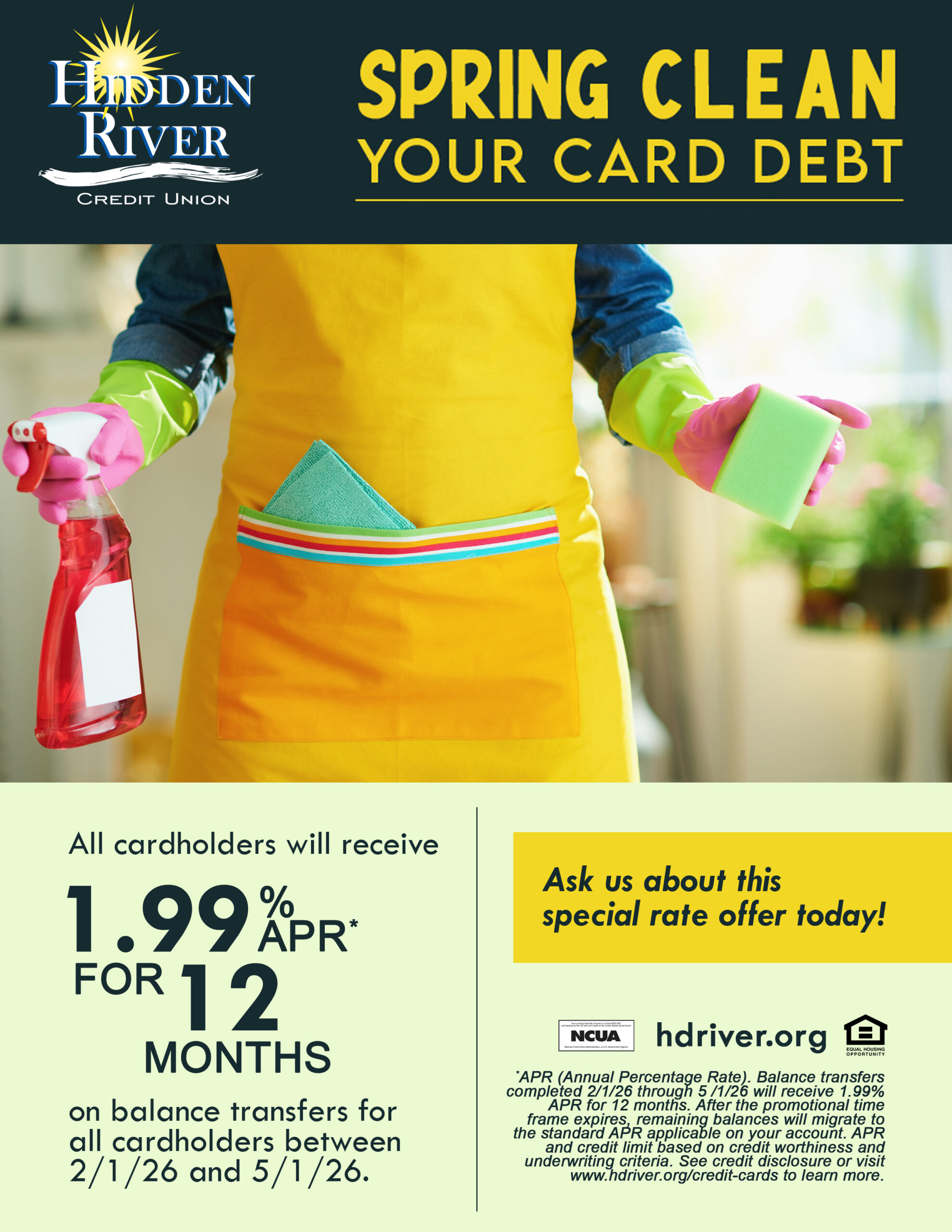 Picture of a person with cleaning supplies in both hands. "Spring clean your card debt" credit card promotion mentioned at the top with the special of 1.99% APR for 12 months.