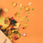 Shopping bag of leaves spilled on an orange background.